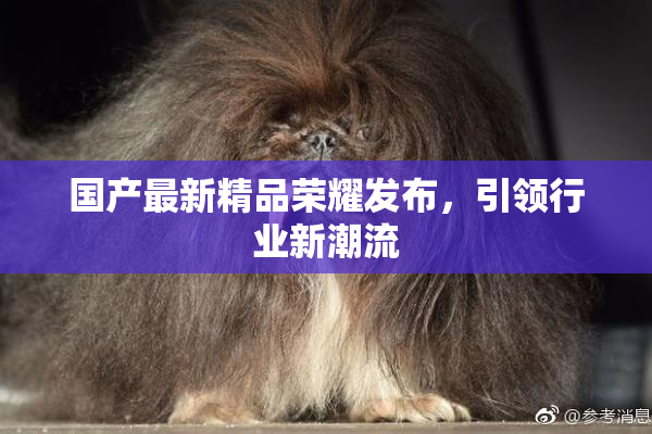 国产最新精品荣耀发布，引领行业新潮流