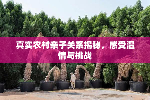 真实农村亲子关系揭秘，感受温情与挑战