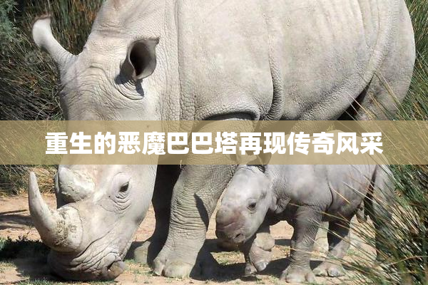 重生的恶魔巴巴塔再现传奇风采