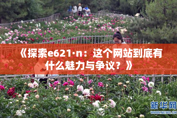 《探索e621·n：这个网站到底有什么魅力与争议？》