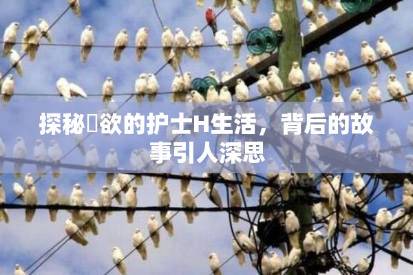 探秘婬欲的护士H生活，背后的故事引人深思