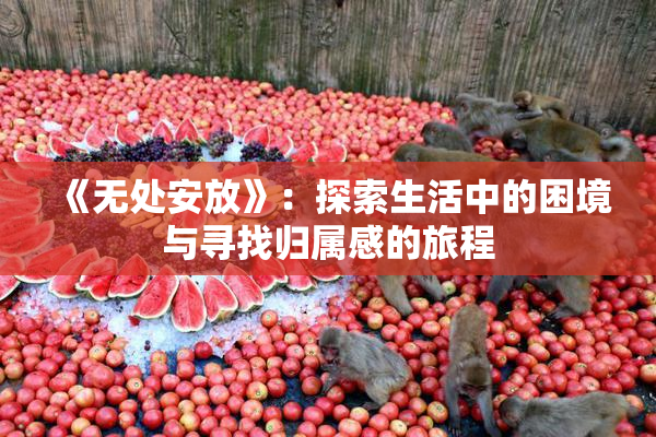 《无处安放》：探索生活中的困境与寻找归属感的旅程