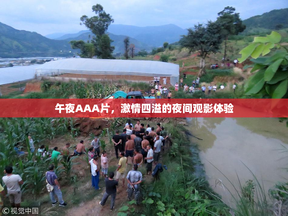 午夜AAA片，激情四溢的夜间观影体验