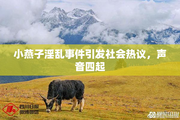 小燕子淫乱事件引发社会热议，声音四起
