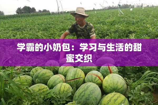 学霸的小奶包：学习与生活的甜蜜交织