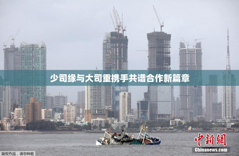 少司缘与大司重携手共谱合作新篇章