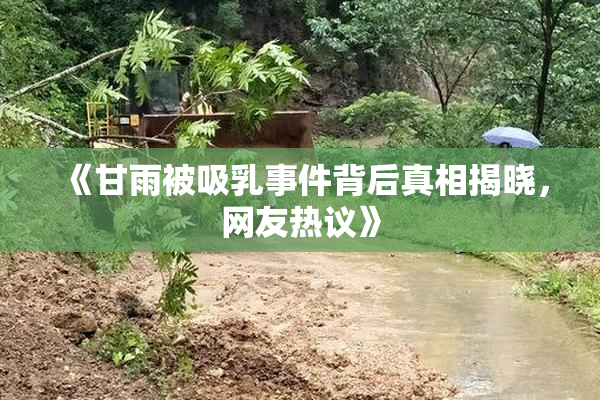 《甘雨被吸乳事件背后真相揭晓，网友热议》
