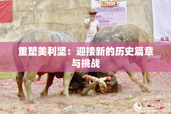 重塑美利坚：迎接新的历史篇章与挑战