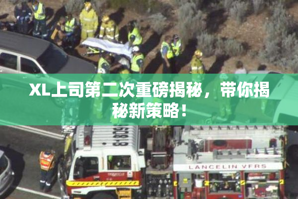 XL上司第二次重磅揭秘，带你揭秘新策略！