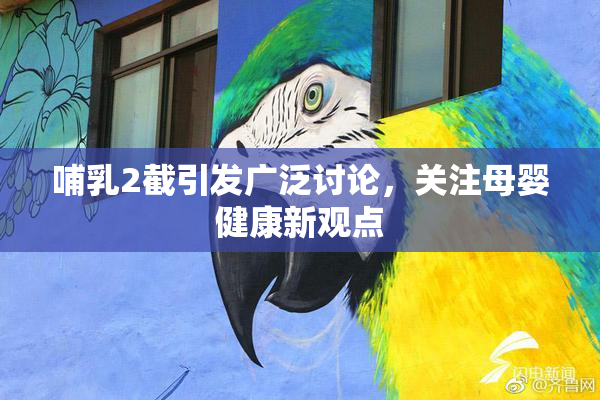 哺乳2截引发广泛讨论，关注母婴健康新观点