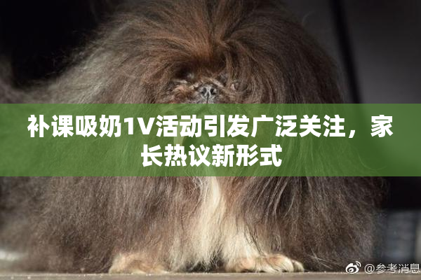 补课吸奶1V活动引发广泛关注，家长热议新形式