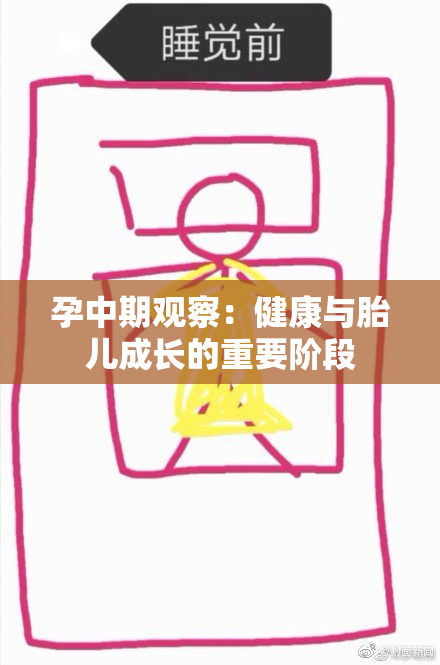 孕中期观察：健康与胎儿成长的重要阶段