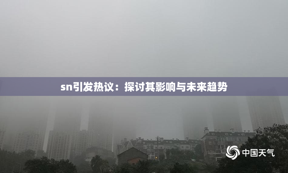 sn引发热议：探讨其影响与未来趋势