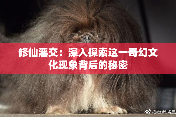 修仙淫交：深入探索这一奇幻文化现象背后的秘密