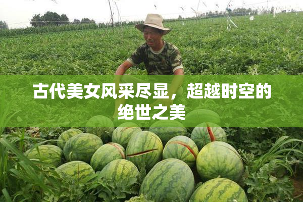 古代美女风采尽显，超越时空的绝世之美