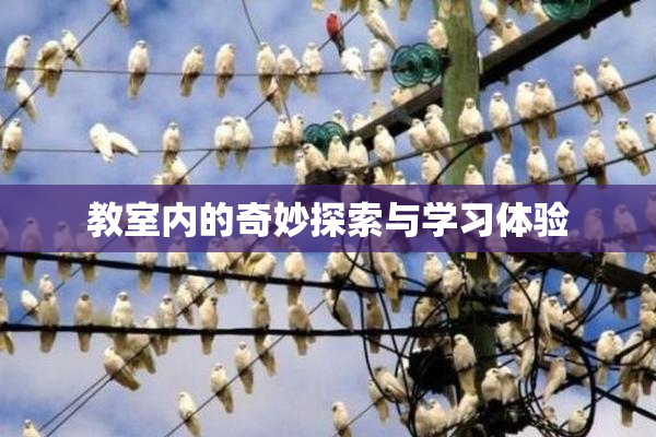 教室内的奇妙探索与学习体验