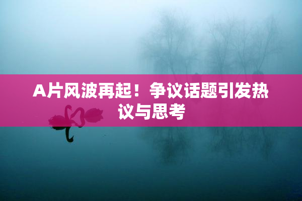 A片风波再起！争议话题引发热议与思考