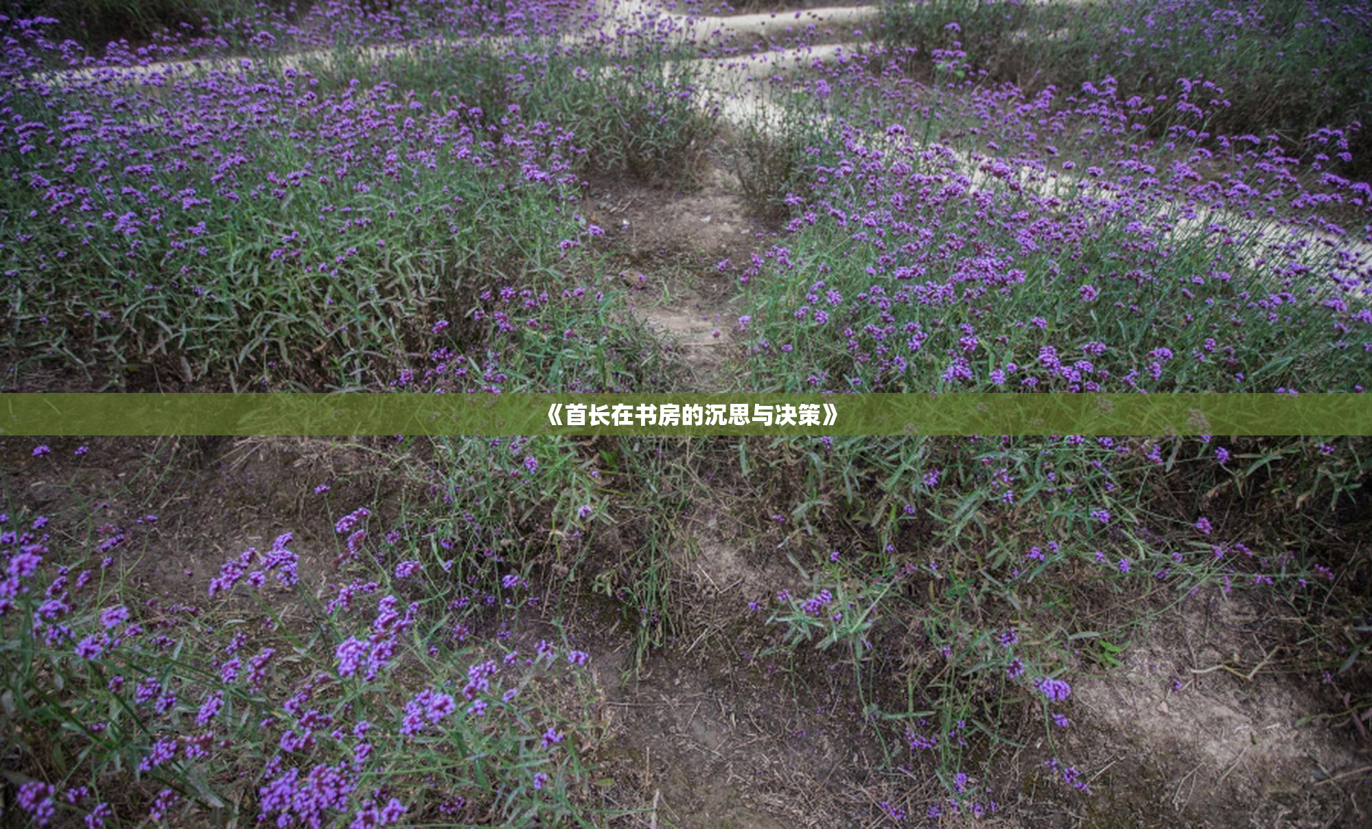 《首长在书房的沉思与决策》