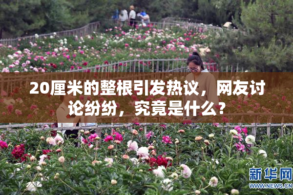 20厘米的整根引发热议，网友讨论纷纷，究竟是什么？