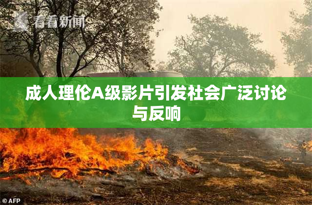 成人理伦A级影片引发社会广泛讨论与反响