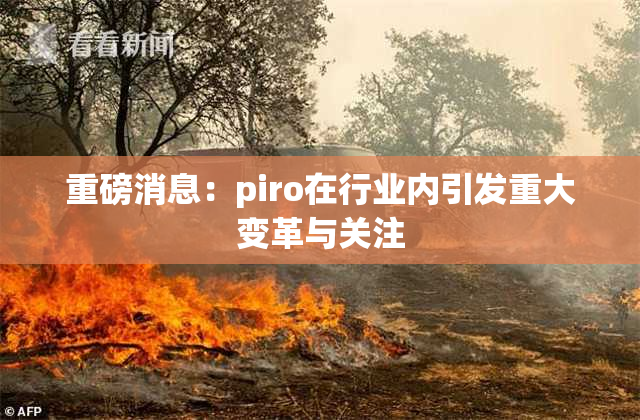 重磅消息：piro在行业内引发重大变革与关注