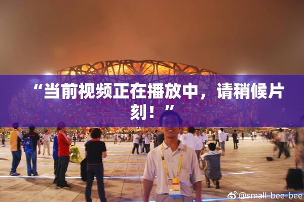 “当前视频正在播放中，请稍候片刻！”