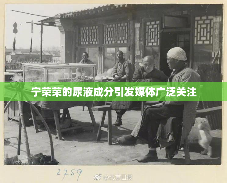 宁荣荣的尿液成分引发媒体广泛关注