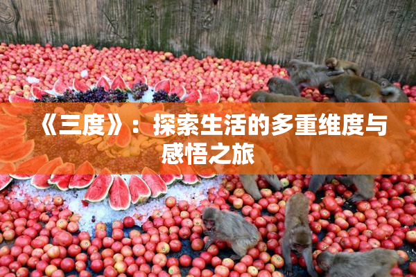 《三度》：探索生活的多重维度与感悟之旅