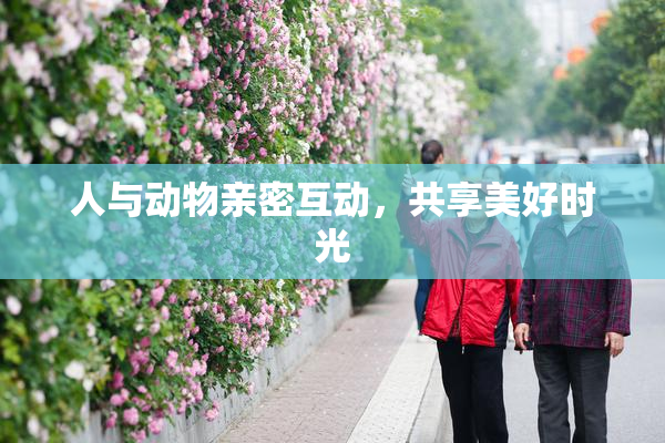 人与动物亲密互动，共享美好时光