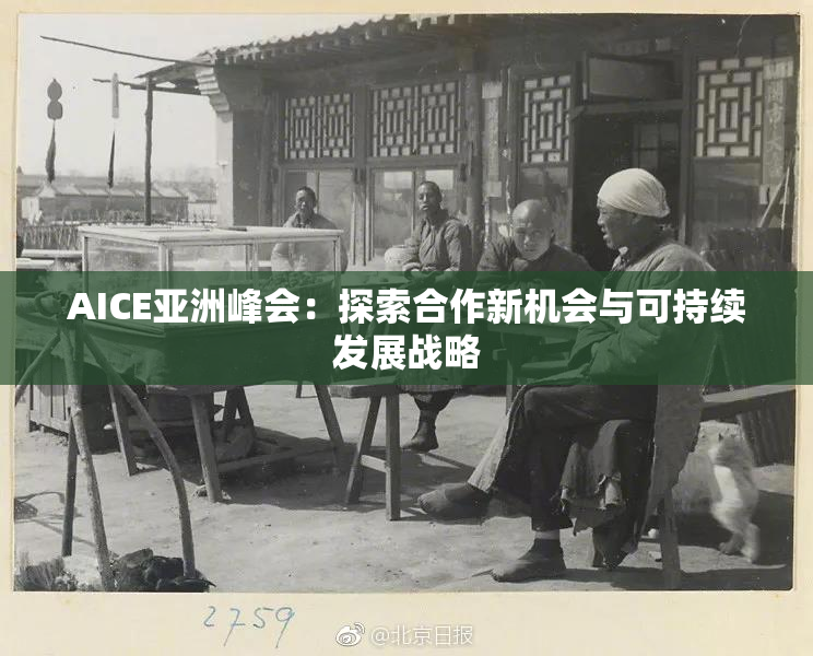 AICE亚洲峰会：探索合作新机会与可持续发展战略
