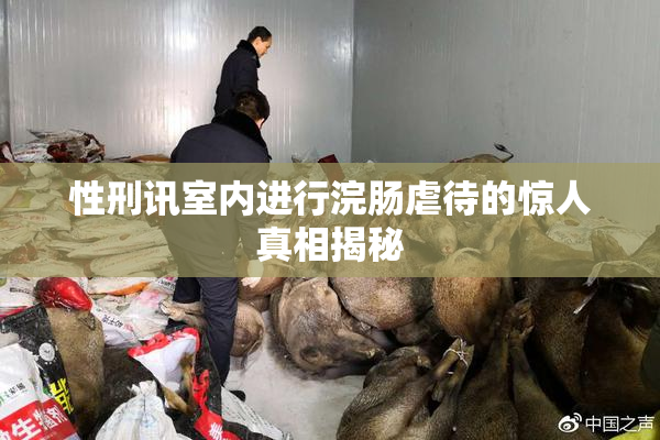 性刑讯室内进行浣肠虐待的惊人真相揭秘
