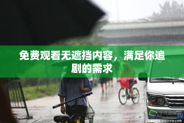 免费观看无遮挡内容，满足你追剧的需求