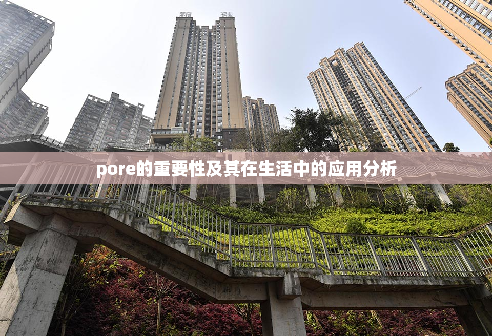 pore的重要性及其在生活中的应用分析