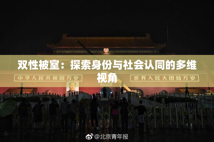 双性被室：探索身份与社会认同的多维视角