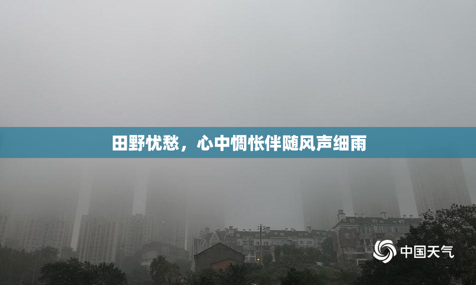 田野忧愁，心中惆怅伴随风声细雨