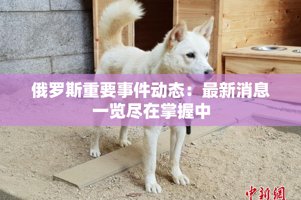 俄罗斯重要事件动态：最新消息一览尽在掌握中