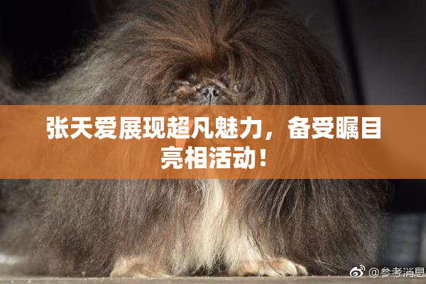 张天爱展现超凡魅力，备受瞩目亮相活动！