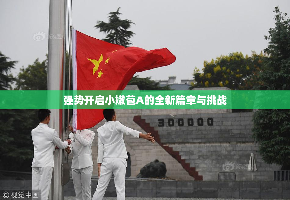 强势开启小嫩苞A的全新篇章与挑战