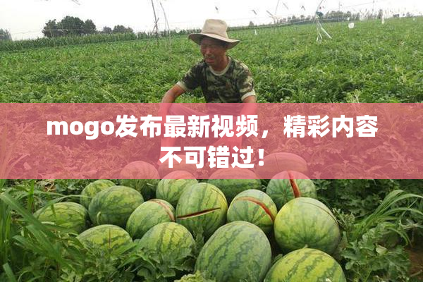 mogo发布最新视频，精彩内容不可错过！