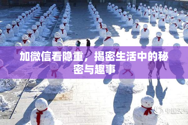 加微信看隐重，揭密生活中的秘密与趣事