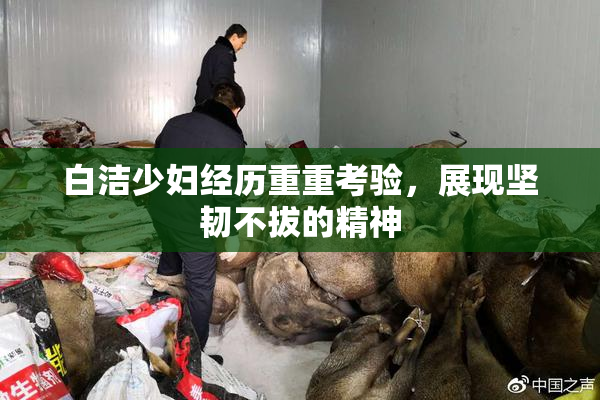 白洁少妇经历重重考验，展现坚韧不拔的精神