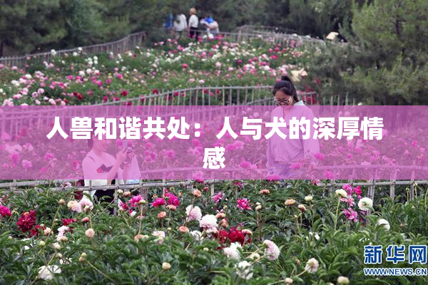 人兽和谐共处：人与犬的深厚情感