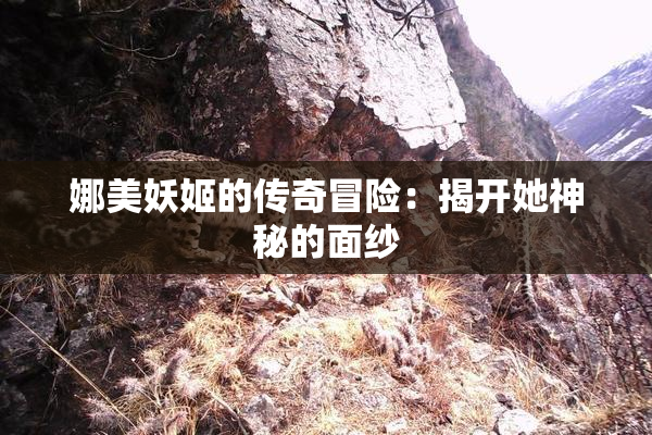 娜美妖姬的传奇冒险：揭开她神秘的面纱