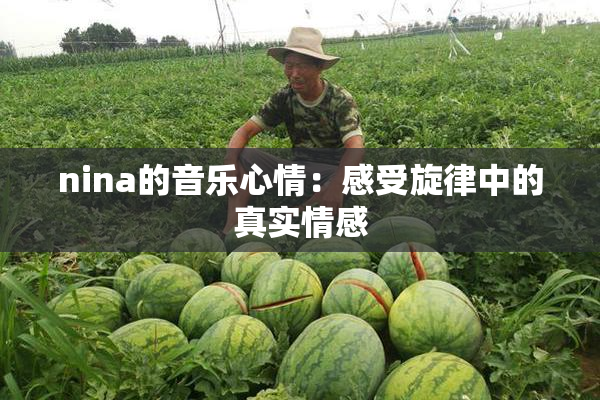 nina的音乐心情：感受旋律中的真实情感
