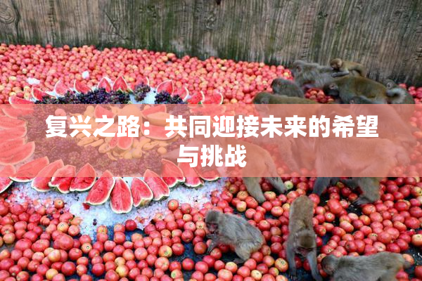 复兴之路：共同迎接未来的希望与挑战