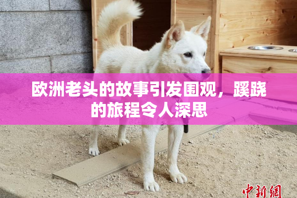 欧洲老头的故事引发围观，蹊跷的旅程令人深思