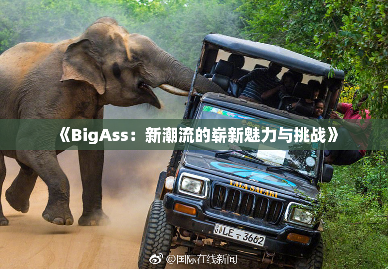 《BigAss：新潮流的崭新魅力与挑战》