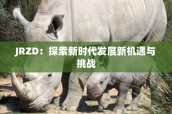JRZD：探索新时代发展新机遇与挑战
