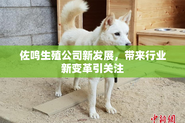 佐鸣生殖公司新发展，带来行业新变革引关注