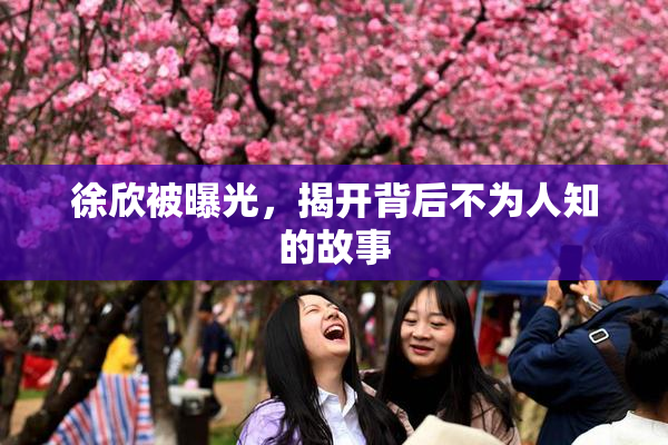 徐欣被曝光，揭开背后不为人知的故事